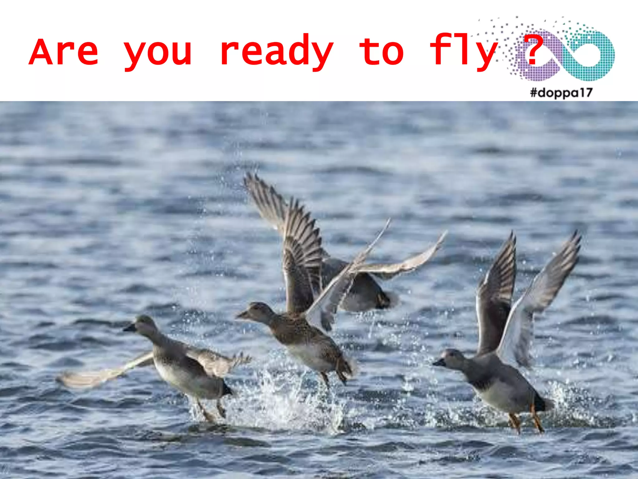 Are you ready to fly ?
 