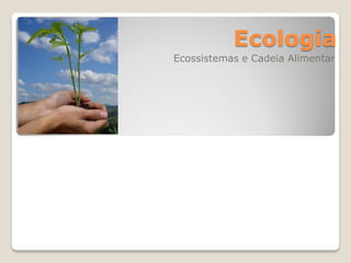 Ecologia
Ecossistemas e Cadeia Alimentar
 