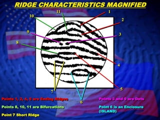 Fingerprint Identification | PPTX
