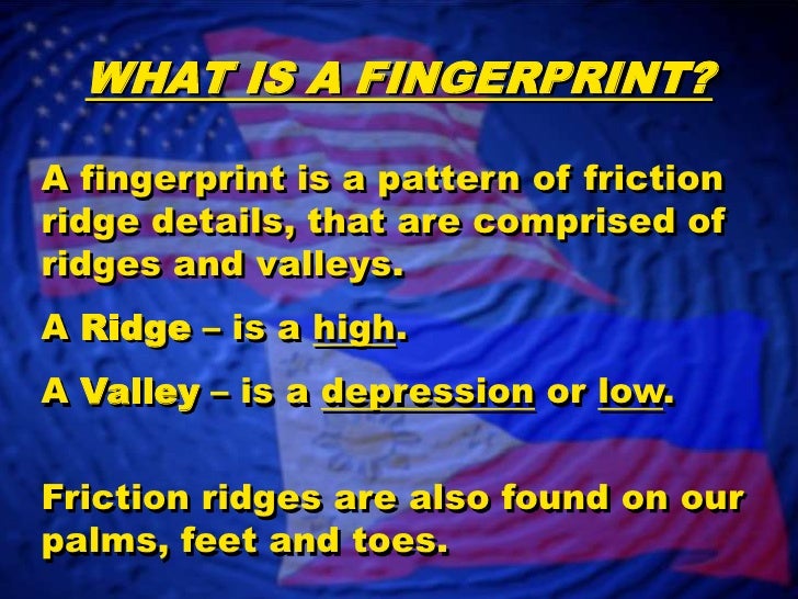 Fingerprint Identification