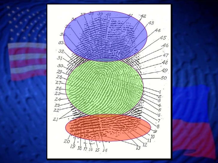 Fingerprint Identification