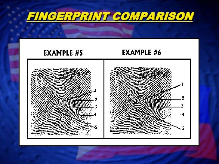 Fingerprint Identification