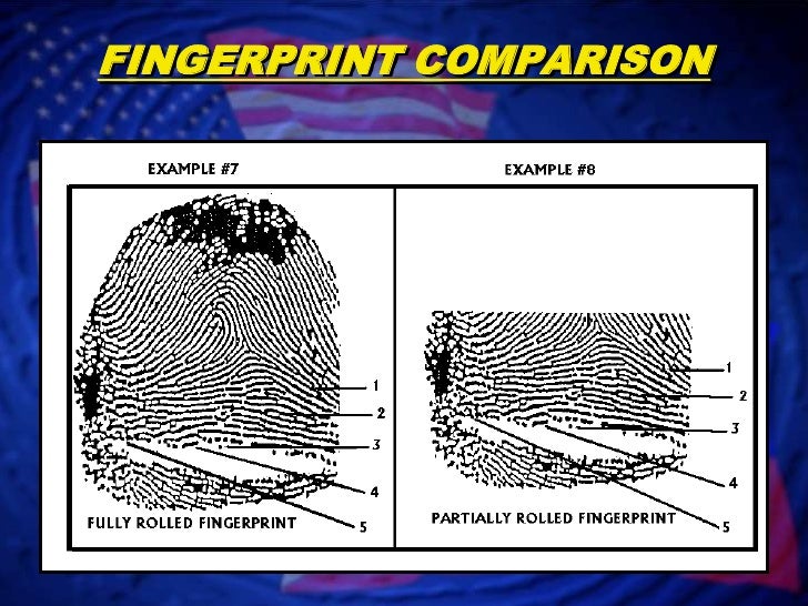Fingerprint Identification
