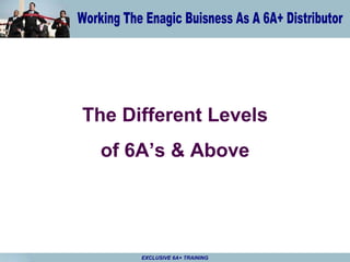 The Different Levels of 6A’s & Above 