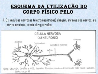 ESQUEMA DA UTILIZAÇÃO DO CORPO FÍSICO PELO   1 .  Os impulsos nervosos (eletromagnéticos) chegam, através dos nervos, ao córtex cerebral, sendo aí registrados.   