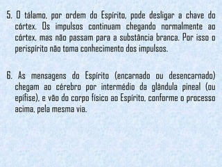 5. O tálamo, por ordem do Espírito, pode desligar a chave do córtex. Os impulsos continuam chegando normalmente ao córtex, mas não passam para a substância branca. Por isso o perispírito não toma conhecimento dos impulsos. 6. As mensagens do Espírito (encarnado ou desencarnado) chegam ao cérebro por intermédio da glândula pineal (ou epífise), e vão do corpo físico ao Espírito, conforme o processo acima, pela mesma via.  