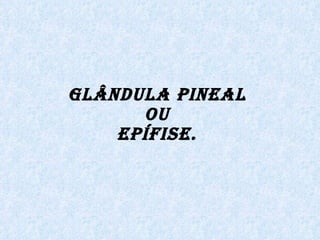 Glândula Pineal  ou  Epífise.   