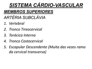 SISTEMA CÁRDIO-VASCULAR
MEMBROS SUPERIORES
ARTÉRIA SUBCLÁVIA
1. Vertebral
2. Tronco Tireocervical
3. Torácica Interna
4. Tronco Costocervical
5. Escapular Descendente (Muita das vezes ramo
da cervical transversa)
 