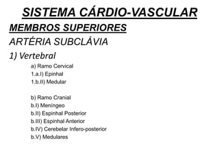 SISTEMA CÁRDIO-VASCULAR
MEMBROS SUPERIORES
ARTÉRIA SUBCLÁVIA
1) Vertebral
a) Ramo Cervical
1.a.I) Epinhal
1.b.II) Medular
b) Ramo Cranial
b.I) Meníngeo
b.II) Espinhal Posterior
b.III) Espinhal Anterior
b.IV) Cerebelar Infero-posterior
b.V) Medulares
 