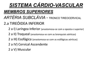 SISTEMA CÁRDIO-VASCULAR
MEMBROS SUPERIORES
ARTÉRIA SUBCLÁVIA - TRONCO TIREOCERVICAL
2.a TIREÓIDEA INFERIOR
2 a I) Laríngea Inferior (anastomosa-se com a oposta e superior)
2 a II) Traqueal (anastomosa-se com as bronquiais aórticas)
2 a III) Esofágica (anastomosa-se com as esôfágicas aórticas)
2 a IV) Cervical Ascendente
2 a V) Muscular
 