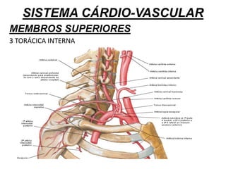 SISTEMA CÁRDIO-VASCULAR
MEMBROS SUPERIORES
3 TORÁCICA INTERNA
 