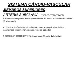 SISTEMA CÁRDIO-VASCULAR
MEMBROS SUPERIORES
ARTÉRIA SUBCLÁVIA - TRONCO COSTOCERVICAL
4.a Intercostal Suprema (Desce posteriormente a Pleura e anastomosa-se com a
1º intercostal)
4.b Cervical Profunda (Ocasionalmente um ramo próprio da subclávia;
Anastomosa-se com o ramo descendente da Occipital)
5 ESCAPULAR DESCENDENTE (Único ramo da 3º parte da Subclávia)
 