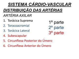 SISTEMA CÁRDIO-VASCULAR
DISTRIBUIÇÃO DAS ARTÉRIAS
ARTÉRIA AXILAR
1. Torácica Suprema
2. Toracoacromial
3. Torácica Lateral
4. Subescapular
5. Circunflexa Posterior do Úmero
6. Circunflexa Anterior do Úmero
1º parte
2º parte
3º parte
 