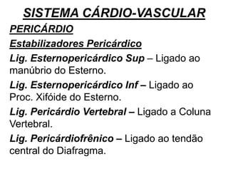 SISTEMA CÁRDIO-VASCULAR
PERICÁRDIO
Estabilizadores Pericárdico
Lig. Esternopericárdico Sup – Ligado ao
manúbrio do Esterno.
Lig. Esternopericárdico Inf – Ligado ao
Proc. Xifóide do Esterno.
Lig. Pericárdio Vertebral – Ligado a Coluna
Vertebral.
Lig. Pericárdiofrênico – Ligado ao tendão
central do Diafragma.
 