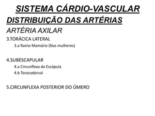SISTEMA CÁRDIO-VASCULAR
DISTRIBUIÇÃO DAS ARTÉRIAS
ARTÉRIA AXILAR
3.TORÁCICA LATERAL
3.a Ramo Mamário (Nas mulheres)
4.SUBESCAPULAR
4.a Circunflexa da Escápula
4.b Toracodorsal
5.CIRCUNFLEXA POSTERIOR DO ÚMERO
 