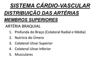 SISTEMA CÁRDIO-VASCULAR
DISTRIBUIÇÃO DAS ARTÉRIAS
MEMBROS SUPERIORES
ARTÉRIA BRAQUIAL
1. Profunda do Braço (Colateral Radial e Média)
2. Nutrícia do Úmero
3. Colateral Ulnar Superior
4. Colateral Ulnar Inferior
5. Musculares
 
