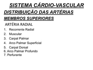 SISTEMA CÁRDIO-VASCULAR
DISTRIBUIÇÃO DAS ARTÉRIAS
MEMBROS SUPERIORES
ARTÉRIA RADIAL
1. Recorrente Radial
2. Muscular
3. Carpal Palmar
4. Arco Palmar Superficial
5. Carpal Dorsal
6. Arco Palmar Profundo
7. Perfurante
 