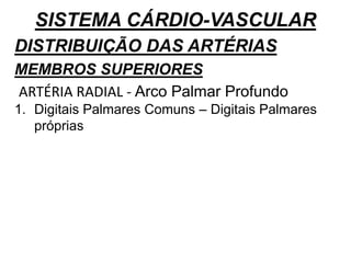 SISTEMA CÁRDIO-VASCULAR
DISTRIBUIÇÃO DAS ARTÉRIAS
MEMBROS SUPERIORES
ARTÉRIA RADIAL - Arco Palmar Profundo
1. Digitais Palmares Comuns – Digitais Palmares
próprias
 