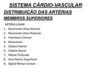 SISTEMA CÁRDIO-VASCULAR
DISTRIBUIÇÃO DAS ARTÉRIAS
MEMBROS SUPERIORES
ARTÉRIA ULNAR
1. Recorrente Ulnar Anterior
2. Recorrente Ulnar Posterior
3. Interósseo Comum
4. Musculares
5. Cárpico Palmar
6. Cárpico Dorsal
7. Palmar Profundo
8. Arco Palmar Superficial
9. Digital Palmar Comum
 