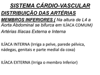 SISTEMA CÁRDIO-VASCULAR
DISTRIBUIÇÃO DAS ARTÉRIAS
MEMBROS INFERIORES ( Na altura de L4 a
Aorta Abdominal se bifurca em ILÍACA COMUM)
Artérias Ilíacas Externa e Interna
ILÍACA INTERNA (Irriga a pelve, parede pélvica,
nádegas, genitais e parte medial da coxa)
ILÍACA EXTERNA (Irriga o membro Inferior)
 
