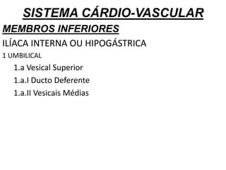 SISTEMA CÁRDIO-VASCULAR
MEMBROS INFERIORES
ILÍACA INTERNA OU HIPOGÁSTRICA
1 UMBILICAL
1.a Vesical Superior
1.a.I Ducto Deferente
1.a.II Vesicais Médias
 