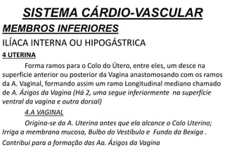 SISTEMA CÁRDIO-VASCULAR
MEMBROS INFERIORES
ILÍACA INTERNA OU HIPOGÁSTRICA
4 UTERINA
Forma ramos para o Colo do Útero, entre eles, um desce na
superficie anterior ou posterior da Vagina anastomosando com os ramos
da A. Vaginal, formando assim um ramo Longitudinal mediano chamado
de A. Ázigos da Vagina (Há 2, uma segue inferiormente na superfície
ventral da vagina e outra dorsal)
4.A VAGINAL
Origina-se da A. Uterina antes que ela alcance o Colo Uterino;
Irriga a membrana mucosa, Bulbo do Vestíbulo e Fundo da Bexiga .
Contribui para a formação das Aa. Ázigos da Vagina
 