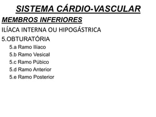 SISTEMA CÁRDIO-VASCULAR
MEMBROS INFERIORES
ILÍACA INTERNA OU HIPOGÁSTRICA
5.OBTURATÓRIA
5.a Ramo Ilíaco
5.b Ramo Vesical
5.c Ramo Púbico
5.d Ramo Anterior
5.e Ramo Posterior
 