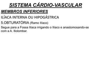 SISTEMA CÁRDIO-VASCULAR
MEMBROS INFERIORES
ILÍACA INTERNA OU HIPOGÁSTRICA
5.OBTURATÓRIA (Ramo Ilíaco)
Segue para a Fossa Ilíaca irrigando o Ilíaco e anastomosando-se
com a A. Iliolombar.
 