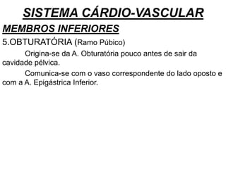 SISTEMA CÁRDIO-VASCULAR
MEMBROS INFERIORES
5.OBTURATÓRIA (Ramo Púbico)
Origina-se da A. Obturatória pouco antes de sair da
cavidade pélvica.
Comunica-se com o vaso correspondente do lado oposto e
com a A. Epigástrica Inferior.
 