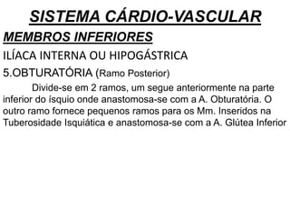 SISTEMA CÁRDIO-VASCULAR
MEMBROS INFERIORES
ILÍACA INTERNA OU HIPOGÁSTRICA
5.OBTURATÓRIA (Ramo Posterior)
Divide-se em 2 ramos, um segue anteriormente na parte
inferior do ísquio onde anastomosa-se com a A. Obturatória. O
outro ramo fornece pequenos ramos para os Mm. Inseridos na
Tuberosidade Isquiática e anastomosa-se com a A. Glútea Inferior
 