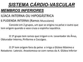SISTEMA CÁRDIO-VASCULAR
MEMBROS INFERIORES
ILÍACA INTERNA OU HIPOGÁSTRICA
6 PUDENDA INTERNA (Ramos Musculares)
Consiste em 2 grupos, um que se origina na pelve e outro que
tem origem quando o vaso cruza a espinha isquiática.
O 1º grupo tem ramos que irrigam o m. Levantador do Ânus,
Obturador Interno, Piriforme e Coccígeo.
O 2º tem origem fora da pelve e irriga o Glúteo Máximo e
Rotadores Laterais. Anastomosa-se com ramos da A. Glútea Inferior
 