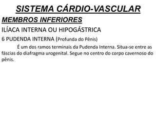 SISTEMA CÁRDIO-VASCULAR
MEMBROS INFERIORES
ILÍACA INTERNA OU HIPOGÁSTRICA
6 PUDENDA INTERNA (Profunda do Pênis)
É um dos ramos terminais da Pudenda Interna. Situa-se entre as
fáscias do diafragma urogenital. Segue no centro do corpo cavernoso do
pênis.
 