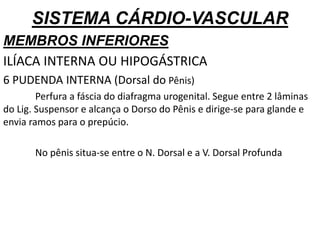 SISTEMA CÁRDIO-VASCULAR
MEMBROS INFERIORES
ILÍACA INTERNA OU HIPOGÁSTRICA
6 PUDENDA INTERNA (Dorsal do Pênis)
Perfura a fáscia do diafragma urogenital. Segue entre 2 lâminas
do Lig. Suspensor e alcança o Dorso do Pênis e dirige-se para glande e
envia ramos para o prepúcio.
No pênis situa-se entre o N. Dorsal e a V. Dorsal Profunda
 