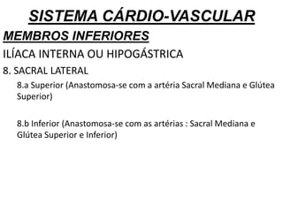 SISTEMA CÁRDIO-VASCULAR
MEMBROS INFERIORES
ILÍACA INTERNA OU HIPOGÁSTRICA
8. SACRAL LATERAL
8.a Superior (Anastomosa-se com a artéria Sacral Mediana e Glútea
Superior)
8.b Inferior (Anastomosa-se com as artérias : Sacral Mediana e
Glútea Superior e Inferior)
 