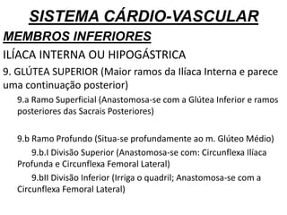 SISTEMA CÁRDIO-VASCULAR
MEMBROS INFERIORES
ILÍACA INTERNA OU HIPOGÁSTRICA
9. GLÚTEA SUPERIOR (Maior ramos da Ilíaca Interna e parece
uma continuação posterior)
9.a Ramo Superficial (Anastomosa-se com a Glútea Inferior e ramos
posteriores das Sacrais Posteriores)
9.b Ramo Profundo (Situa-se profundamente ao m. Glúteo Médio)
9.b.I Divisão Superior (Anastomosa-se com: Circunflexa Ilíaca
Profunda e Circunflexa Femoral Lateral)
9.bII Divisão Inferior (Irriga o quadril; Anastomosa-se com a
Circunflexa Femoral Lateral)
 