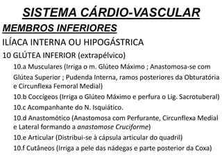 SISTEMA CÁRDIO-VASCULAR
MEMBROS INFERIORES
ILÍACA INTERNA OU HIPOGÁSTRICA
10 GLÚTEA INFERIOR (extrapélvico)
10.a Musculares (Irriga o m. Glúteo Máximo ; Anastomosa-se com
Glútea Superior ; Pudenda Interna, ramos posteriores da Obturatória
e Circunflexa Femoral Medial)
10.b Coccígeos (Irriga o Glúteo Máximo e perfura o Lig. Sacrotuberal)
10.c Acompanhante do N. Isquiático.
10.d Anastomótico (Anastomosa com Perfurante, Circunflexa Medial
e Lateral formando a anastomose Cruciforme)
10.e Articular (Distribui-se à cápsula articular do quadril)
10.f Cutâneos (Irriga a pele das nádegas e parte posterior da Coxa)
 