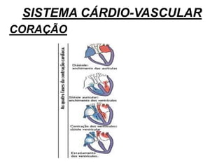 SISTEMA CÁRDIO-VASCULAR
CORAÇÃO
 