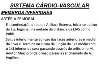 SISTEMA CÁRDIO-VASCULAR
MEMBROS INFERIORES
ARTÉRIA FEMORAL
É a continuação direta da A. Ilíaca Externa. Inicia-se abaixo
do Lig. Inguinal, na metade da distância da EIAS com o
Púbis.
Segue inferiormente ao logo das faces anteriores e medial
da Coxa e Termina na altura da junção do 1/3 médio com
o 1/3 inferior da coxa passando através do orifício no M.
Adutor Magno onde o vaso passar a ser chamado de A.
Poplítea
 
