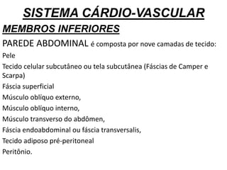 SISTEMA CÁRDIO-VASCULAR
MEMBROS INFERIORES
PAREDE ABDOMINAL é composta por nove camadas de tecido:
Pele
Tecido celular subcutâneo ou tela subcutânea (Fáscias de Camper e
Scarpa)
Fáscia superficial
Músculo oblíquo externo,
Músculo oblíquo interno,
Músculo transverso do abdômen,
Fáscia endoabdominal ou fáscia transversalis,
Tecido adiposo pré-peritoneal
Peritônio.
 