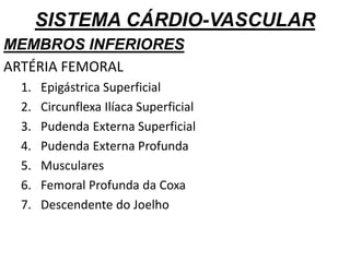 SISTEMA CÁRDIO-VASCULAR
MEMBROS INFERIORES
ARTÉRIA FEMORAL
1. Epigástrica Superficial
2. Circunflexa Ilíaca Superficial
3. Pudenda Externa Superficial
4. Pudenda Externa Profunda
5. Musculares
6. Femoral Profunda da Coxa
7. Descendente do Joelho
 