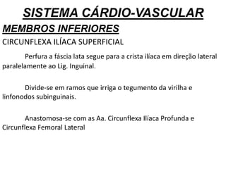 SISTEMA CÁRDIO-VASCULAR
MEMBROS INFERIORES
CIRCUNFLEXA ILÍACA SUPERFICIAL
Perfura a fáscia lata segue para a crista ilíaca em direção lateral
paralelamente ao Lig. Inguinal.
Divide-se em ramos que irriga o tegumento da virilha e
linfonodos subinguinais.
Anastomosa-se com as Aa. Circunflexa Ilíaca Profunda e
Circunflexa Femoral Lateral
 