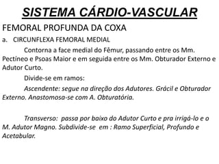 SISTEMA CÁRDIO-VASCULAR
FEMORAL PROFUNDA DA COXA
a. CIRCUNFLEXA FEMORAL MEDIAL
Contorna a face medial do Fêmur, passando entre os Mm.
Pectíneo e Psoas Maior e em seguida entre os Mm. Obturador Externo e
Adutor Curto.
Divide-se em ramos:
Ascendente: segue na direção dos Adutores. Grácil e Obturador
Externo. Anastomosa-se com A. Obturatória.
Transverso: passa por baixo do Adutor Curto e pra irrigá-lo e o
M. Adutor Magno. Subdivide-se em : Ramo Superficial, Profundo e
Acetabular.
 
