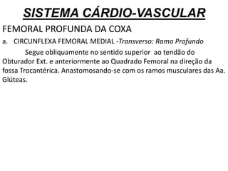 SISTEMA CÁRDIO-VASCULAR
FEMORAL PROFUNDA DA COXA
a. CIRCUNFLEXA FEMORAL MEDIAL -Transverso: Ramo Profundo
Segue obliquamente no sentido superior ao tendão do
Obturador Ext. e anteriormente ao Quadrado Femoral na direção da
fossa Trocantérica. Anastomosando-se com os ramos musculares das Aa.
Glúteas.
 