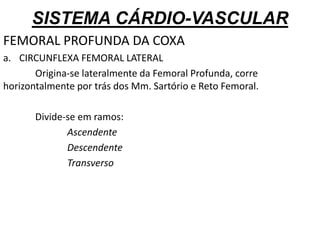 SISTEMA CÁRDIO-VASCULAR
FEMORAL PROFUNDA DA COXA
a. CIRCUNFLEXA FEMORAL LATERAL
Origina-se lateralmente da Femoral Profunda, corre
horizontalmente por trás dos Mm. Sartório e Reto Femoral.
Divide-se em ramos:
Ascendente
Descendente
Transverso
 