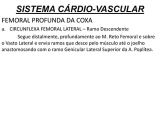 SISTEMA CÁRDIO-VASCULAR
FEMORAL PROFUNDA DA COXA
a. CIRCUNFLEXA FEMORAL LATERAL – Ramo Descendente
Segue distalmente, profundamente ao M. Reto Femoral e sobre
o Vasto Lateral e envia ramos que desce pelo músculo até o joelho
anastomosando com o ramo Genicular Lateral Superior da A. Poplítea.
 