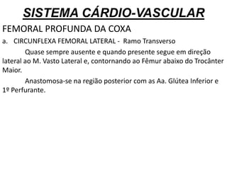 SISTEMA CÁRDIO-VASCULAR
FEMORAL PROFUNDA DA COXA
a. CIRCUNFLEXA FEMORAL LATERAL - Ramo Transverso
Quase sempre ausente e quando presente segue em direção
lateral ao M. Vasto Lateral e, contornando ao Fêmur abaixo do Trocânter
Maior.
Anastomosa-se na região posterior com as Aa. Glútea Inferior e
1º Perfurante.
 