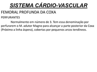 SISTEMA CÁRDIO-VASCULAR
FEMORAL PROFUNDA DA COXA
PERFURANTES
Normalmente em número de 3. Tem essa denominação por
perfurarem o M. adutor Magno para alcançar a parte posterior da Coxa
(Próximo a linha áspera), cobertas por pequenos arcos tendíneos.
 