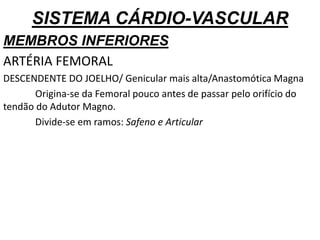 SISTEMA CÁRDIO-VASCULAR
MEMBROS INFERIORES
ARTÉRIA FEMORAL
DESCENDENTE DO JOELHO/ Genicular mais alta/Anastomótica Magna
Origina-se da Femoral pouco antes de passar pelo orifício do
tendão do Adutor Magno.
Divide-se em ramos: Safeno e Articular
 