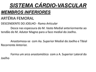 SISTEMA CÁRDIO-VASCULAR
MEMBROS INFERIORES
ARTÉRIA FEMORAL
DESCENDENTE DO JOELHO - Ramo Articular
Desce nas espessura do M. Vasto Medial anteriormente ao
tendão do M. Adutor Magno para a face medial do Joelho.
Anastomosa-se com Aa. Superior Medial do Joelho e Tibial
Recorrente Anterior.
Forma um arco anastomótico com a A. Superior Lateral do
Joelho
 