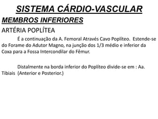 SISTEMA CÁRDIO-VASCULAR
MEMBROS INFERIORES
ARTÉRIA POPLÍTEA
É a continuação da A. Femoral Através Cavo Poplíteo. Estende-se
do Forame do Adutor Magno, na junção dos 1/3 médio e inferior da
Coxa para a Fossa Intercondilar do Fêmur.
Distalmente na borda inferior do Poplíteo divide-se em : Aa.
Tibiais (Anterior e Posterior.)
 